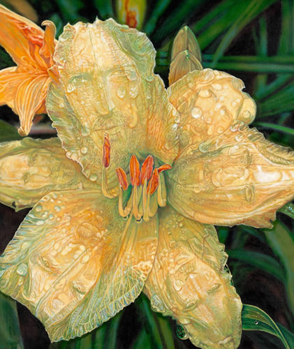 Lilly of the Valley by Steve R. Skipper